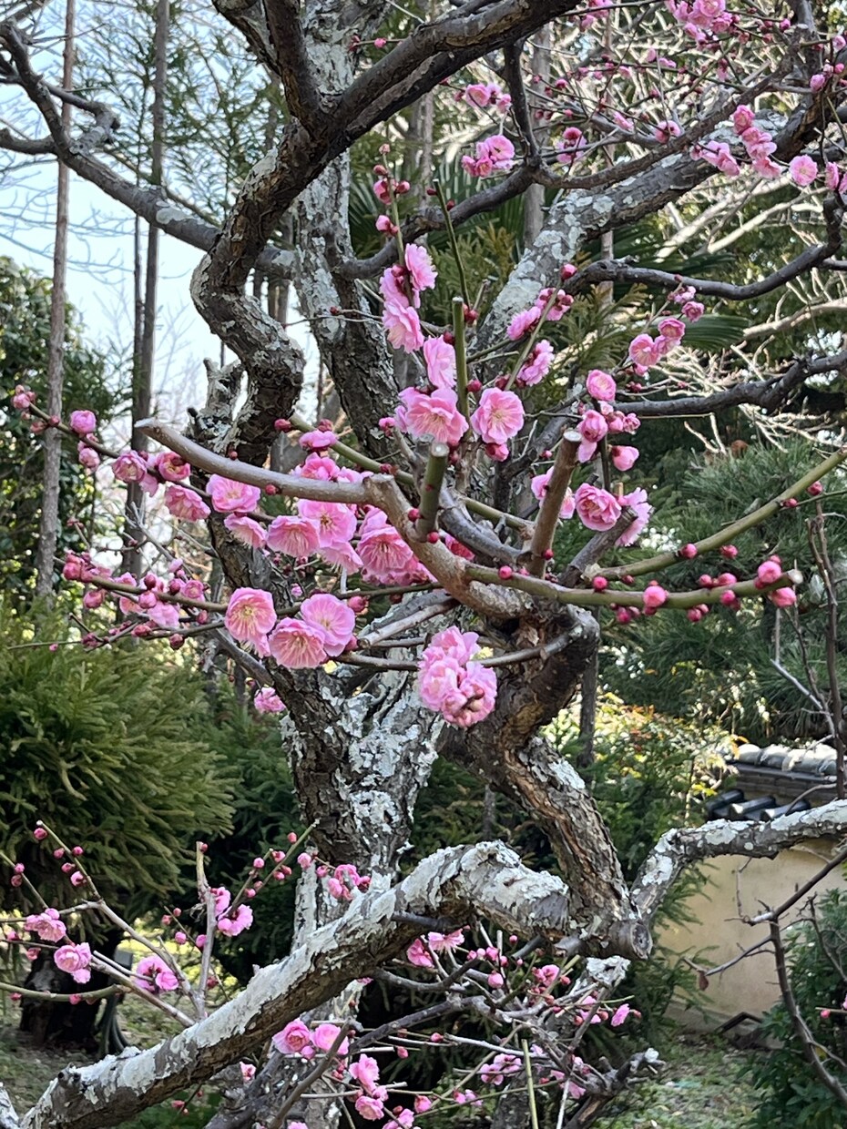 名前や誕生日がわからなくても 相手の気持ちをみます 通話は数分〜長時間お好みで♡あらゆるジャンルに対応いたします イメージ7