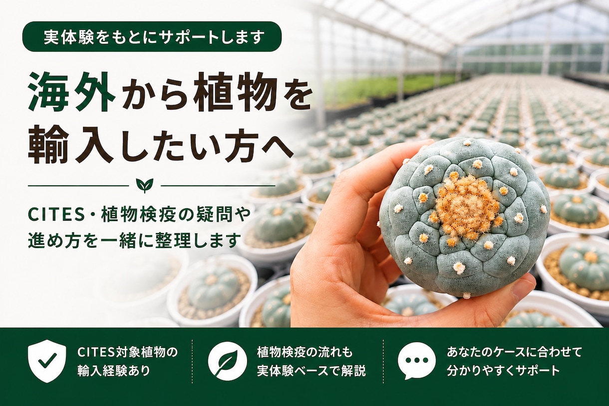 植物の個人輸入を実体験からサポートしますます CITES・植物検疫の疑問や進め方を一緒に整理します イメージ1