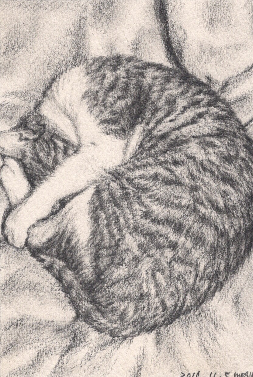 ペットの鉛筆画を描きます ペットとの思い出を残しませんか イメージ2
