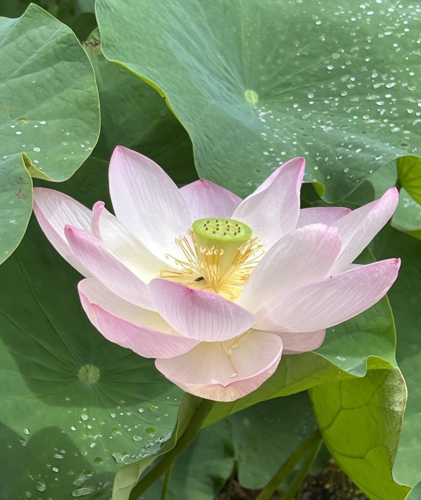 心のモヤモヤ（恋愛／親／子育て／義親等）を聞きます モヤモヤ溜め込んでませんか？爆発する前に吐き出しましょう！ イメージ4