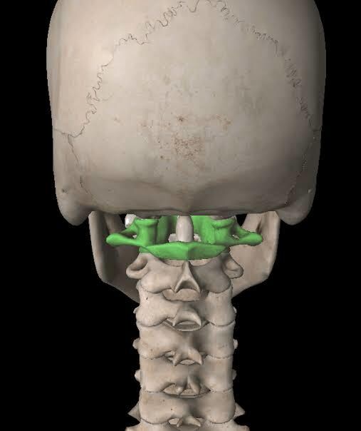 第1頸椎の矯正方法教えます あん摩マッサージ指圧師、柔整師、PT、整体師 イメージ1