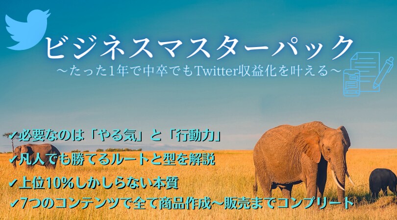 中卒でも１年でSNSビジネスを極めた方法を教えます 凡人が実績者に勝つための知識をこれでもかと言うほど詰めました イメージ1