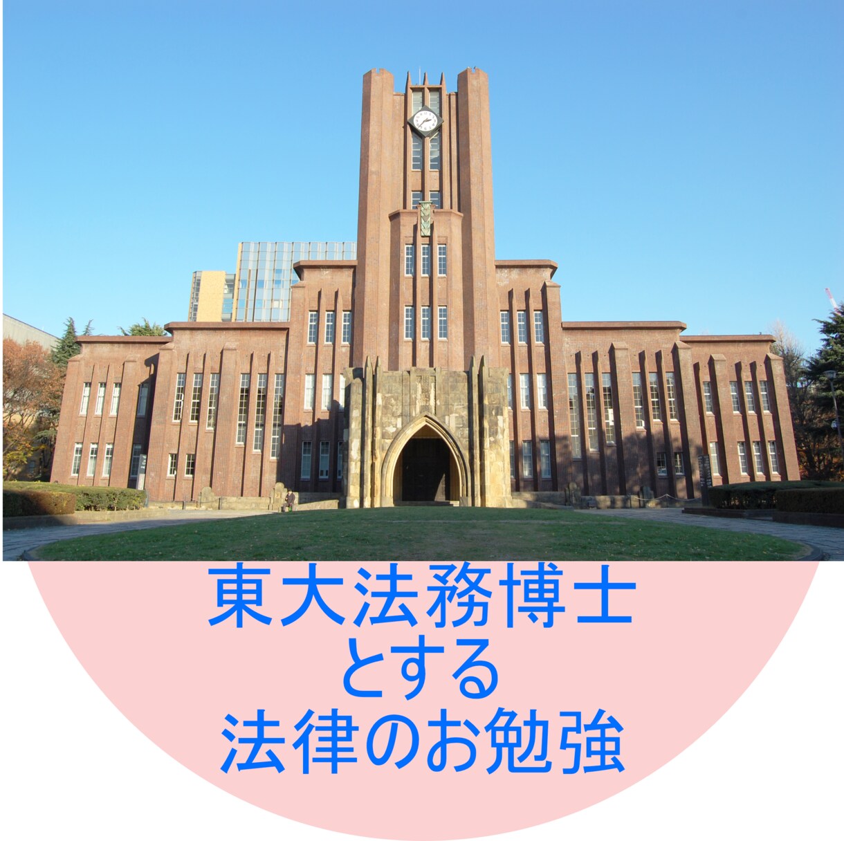 東大法務博士が法学・政治学の家庭教師をします 世界の見え方が変わる！【東大法務博士の】オンラインレッスン！ イメージ1