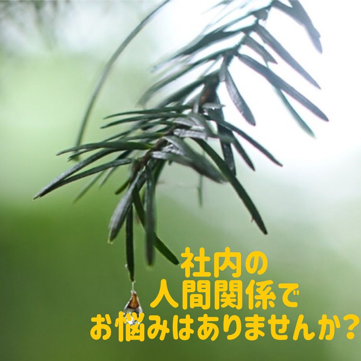 あなたのお話し何でもOKお聞きします お試し1分¥100☆5分以内コール☆ イメージ6