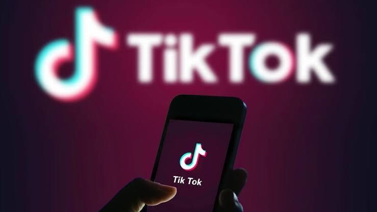 TikTokフォロワー500人増えるまで宣伝します フォロワー5万人のアカウントに拡散！ イメージ1
