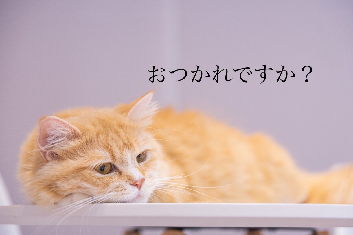 あなたの話聞きます 毎日の生活疲れますよね。看護師、主婦である私が受け止めます。 イメージ1