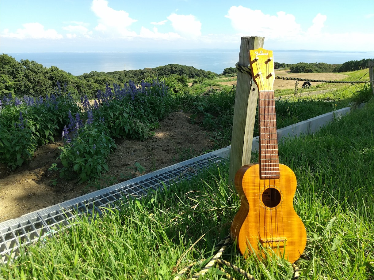 ４回でウクレレ弾き語りご希望の曲をレッスンします ４回のレッスンで人前で自信をもって弾き語れる練習をします。 イメージ1