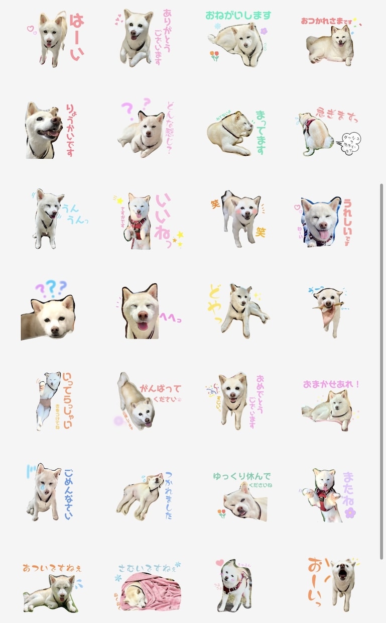 LINEスタンプ作成します 愛犬や愛猫、お子さん等、お写真を使用したLINEスタンプ⭐︎ イメージ2