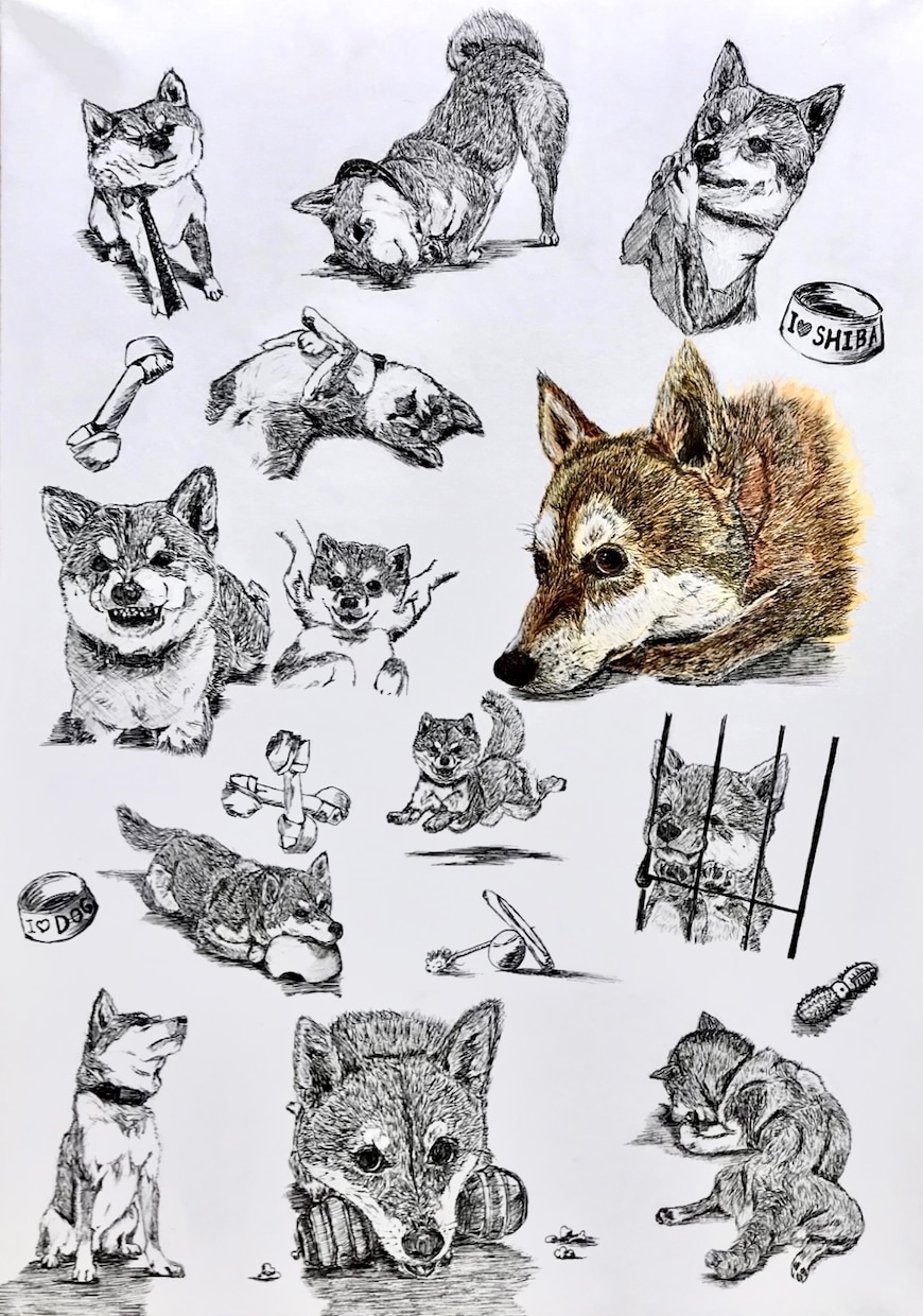 ペン1本でここまで可愛いわんちゃん描けます あなたのペットのイラストをおしゃれに飾りたい人必見！ イメージ1