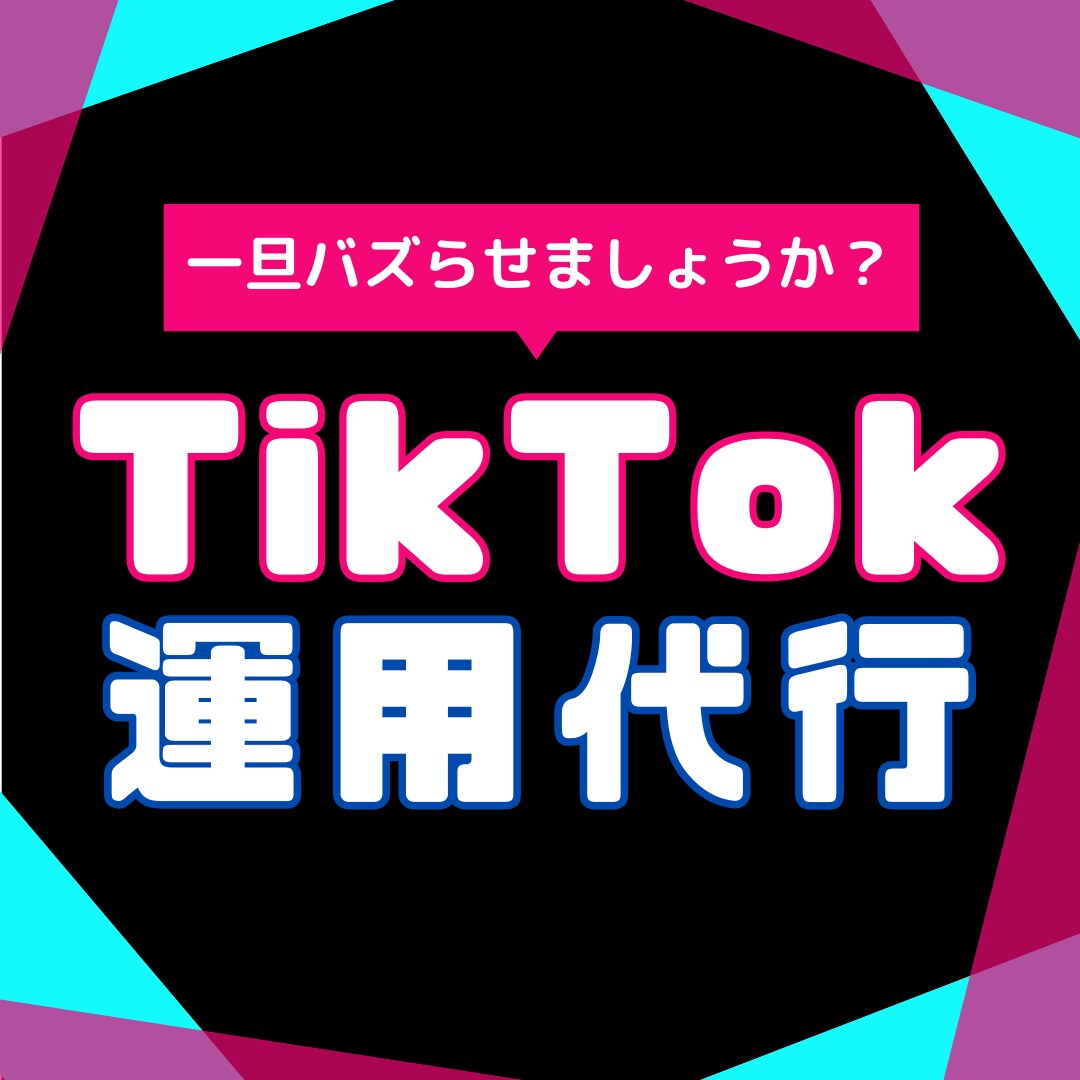 TikTok運用代行 | 一旦バズらせます 某大手広告代理店所属のSNSコンサルタントが直接運用します。 イメージ1