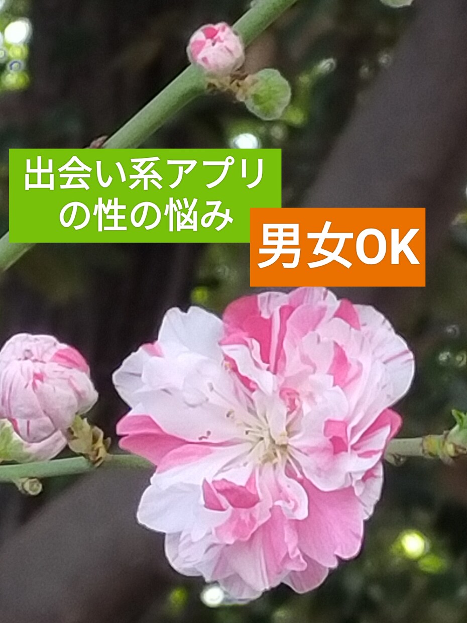 出会い系で知り合った人との性の悩み聞きます 男女問わず話し難い性の悩みLINE感覚で相談☆文字が良い！ イメージ1