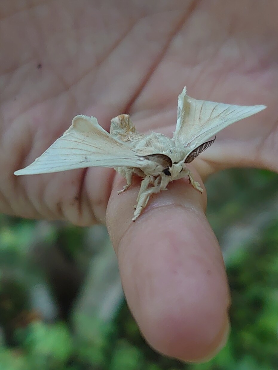 あなたの輝き一緒に探します 夜空に輝く星のように瑠璃色があなたの人生をサポートします！ イメージ3