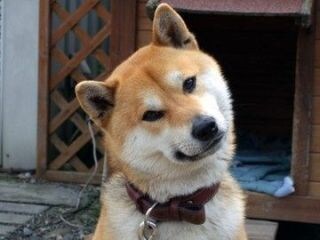 イジメや人間関係の相談悩みお聞ききします 知人には聞きづらいことなど、どんな悩みでも御相談下さい。 イメージ1