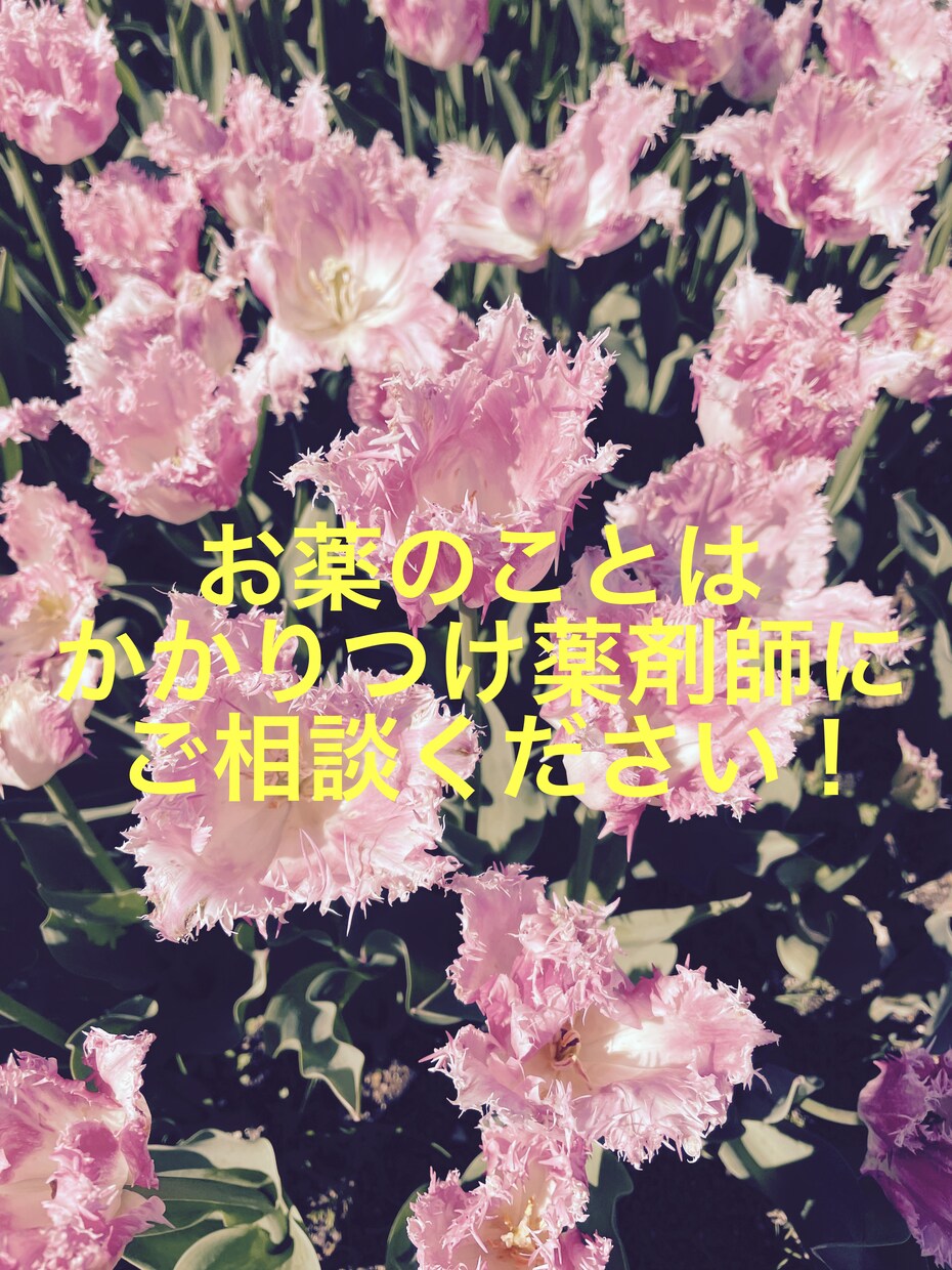 あなたのお薬、認定薬剤師が相談にのります 何度でも相談可！かかりつけの薬剤師にしてください！ イメージ1