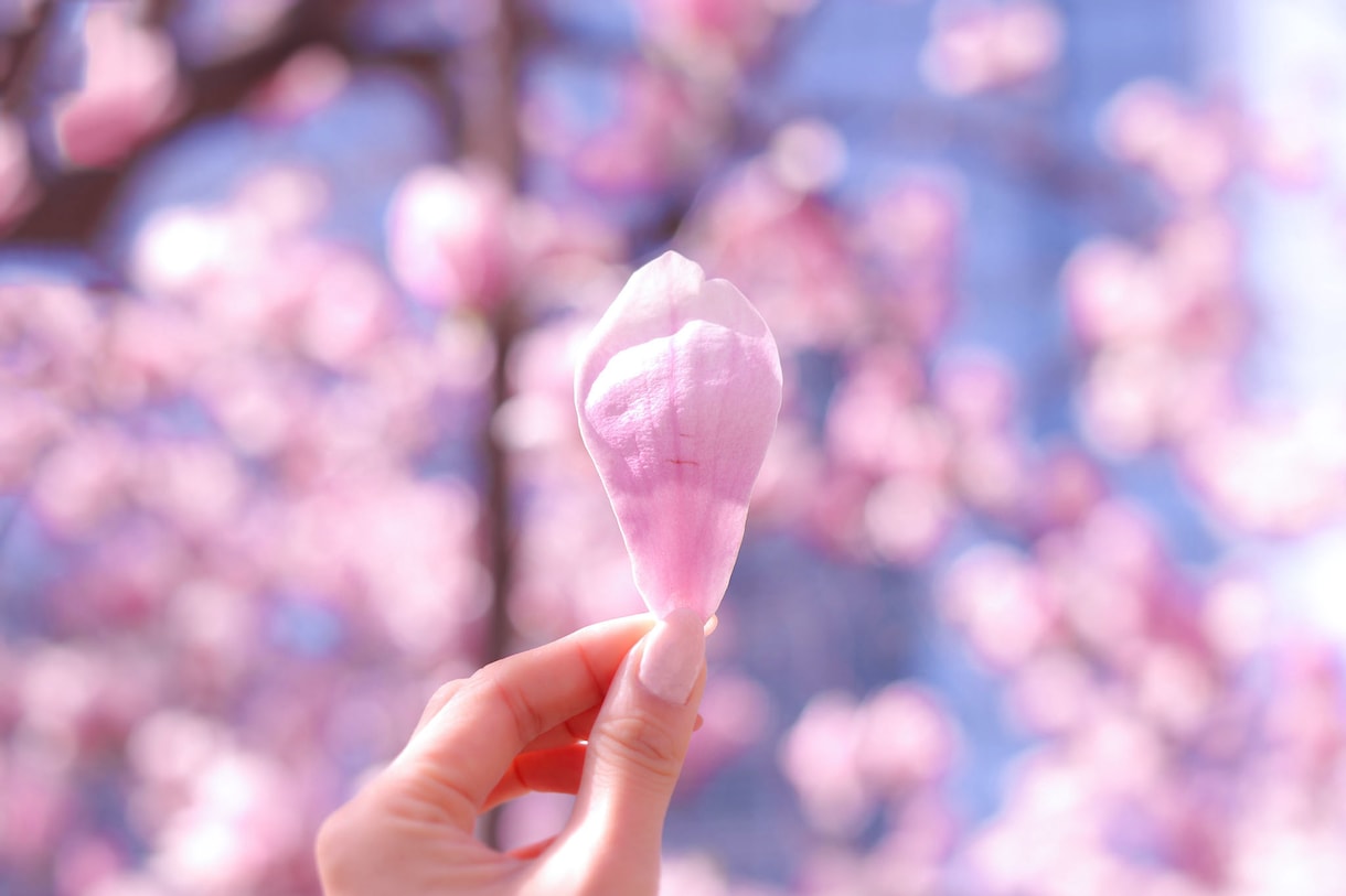 メッセージ相談（カウンセリング）お受けします 考えすぎる気持ちを整理し、心を軽くするお手伝い イメージ3