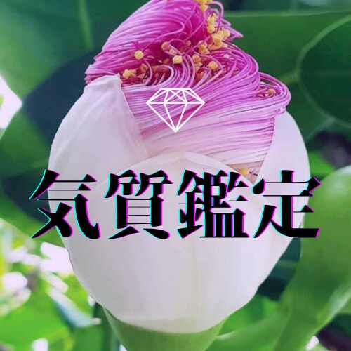 限定10名様！特別価格にて気質鑑定致します 気質を知って悩み解決！気質を知って人生楽しもう！ イメージ1