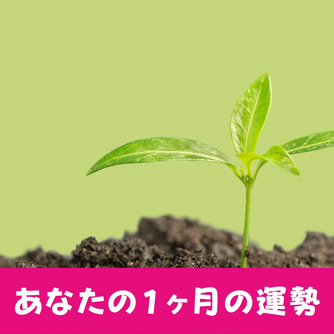 あなたの１ヶ月の運勢を占います 生年月日とタロットから一か月の流れを占います イメージ1