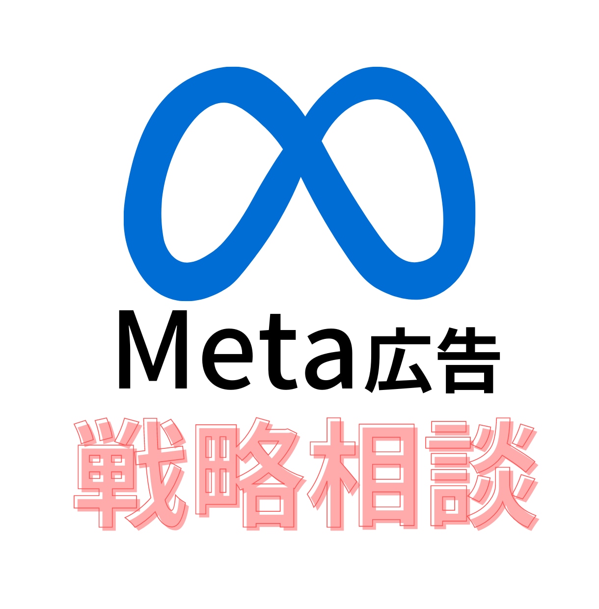 Meta広告運用コンサル◆プロが全力のご提案します 【壁打ちと相談】改善・戦略を全て視て売上コミットのアドバイス イメージ1