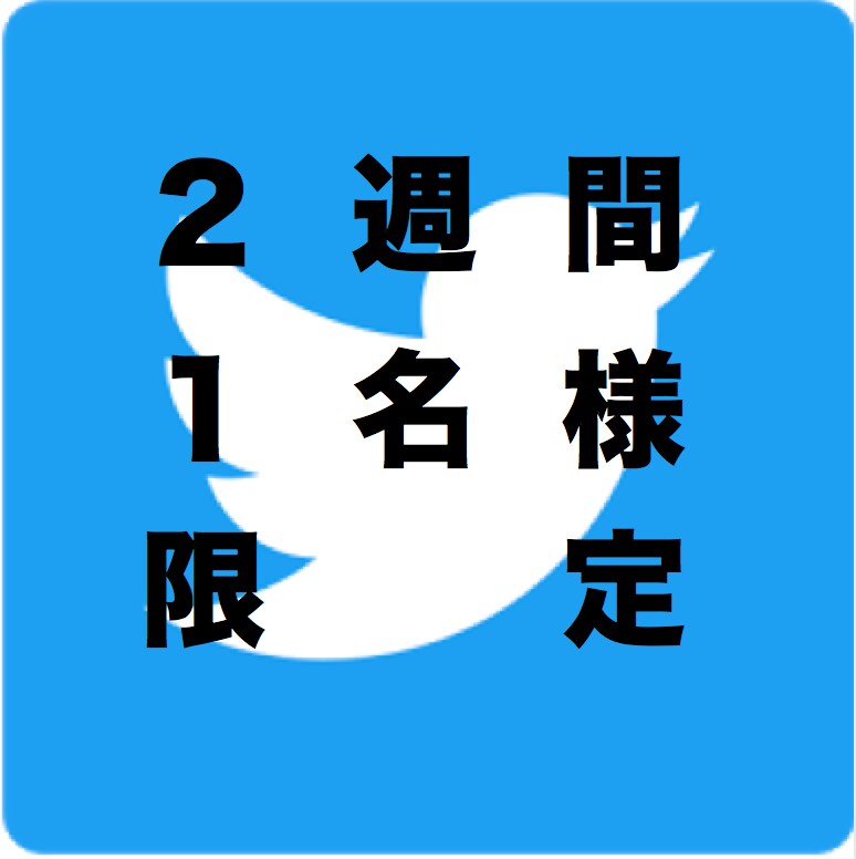 ★商材に適したアカウントに掲載できます！【毎週１名様限定２週間】Twitterによる広告・宣伝・拡散 イメージ1