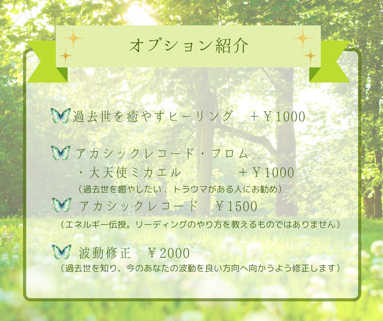 過去世鑑定✨前世からの使命・想い、カルマを視ます 天然石を通して視る、魂の記憶。霊視アカシックリーディング✨ イメージ6