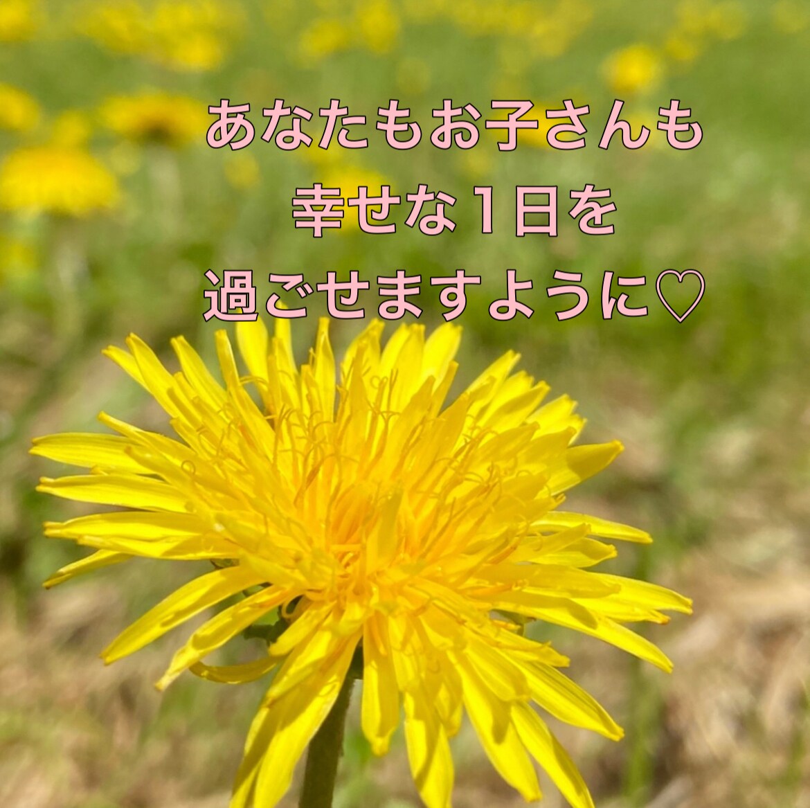 お子さんと楽しく過ごせる関わりを一緒に考えます 子どものイヤ！を優しく穏やかに見守れる大人になりたい方へ イメージ2