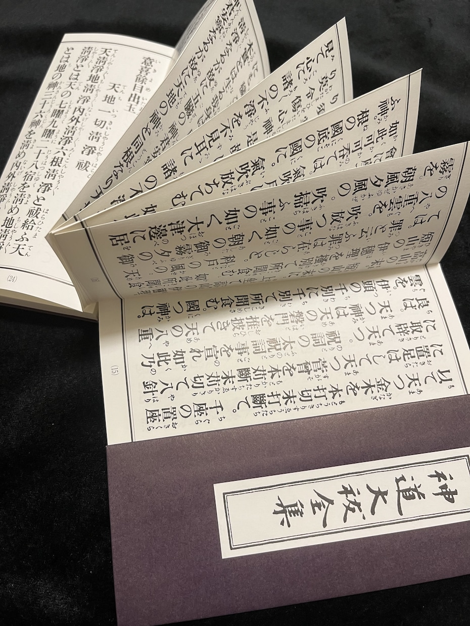 神主による代理参拝３社(お賽銭込)＋プチ占いします 名古屋パワースポット！縁結び・商売繁盛・心願成就など⛩️ イメージ9