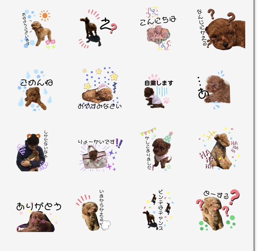 ペットやお子様の写真からLINEスタンプ作成します 8個3500円〜♪かわいい写真をスタンプで自慢しちゃお〜☆ イメージ3