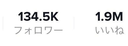 最短1ヶ月1000フォロワーSNS運用します Instagram  Twitter TikTok 実績多数 イメージ2