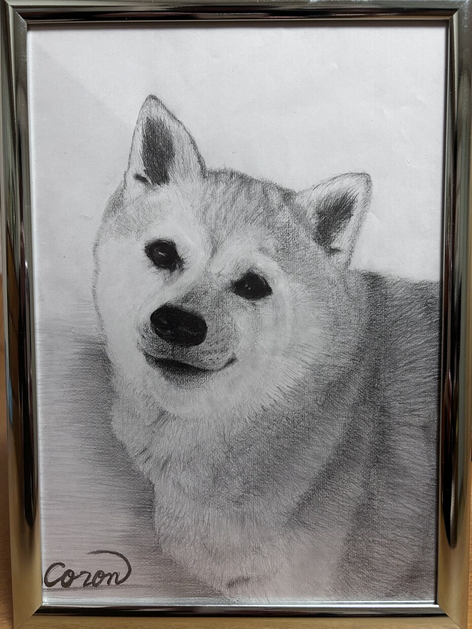 鉛筆でお犬さんを描きます お犬さんの思い出の写真を鉛筆画にいたします。 イメージ3