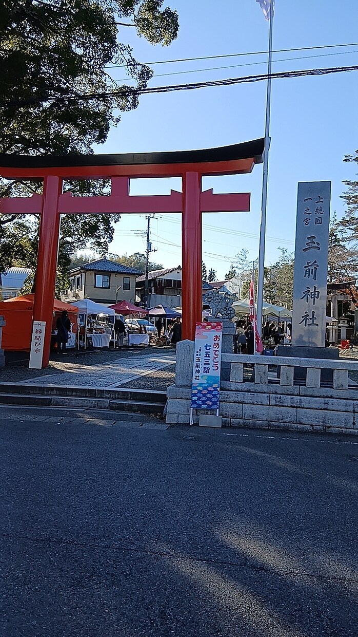 全てを見ることができます 全てを見ることができます 何でもいいです イメージ4