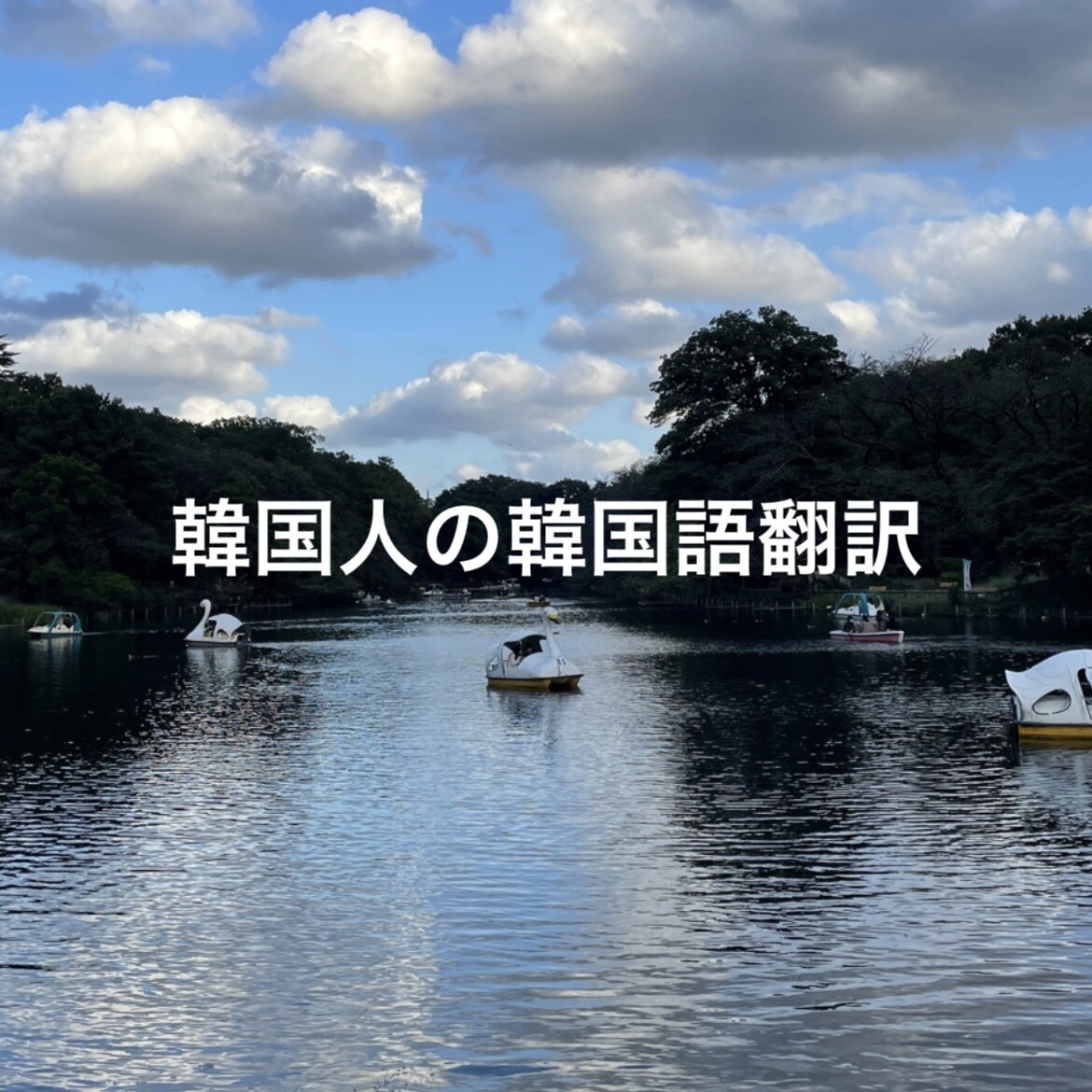 韓国人が韓国語テキスト翻訳します 知りたい文、文章、本など知りたいことを翻訳します。 イメージ1