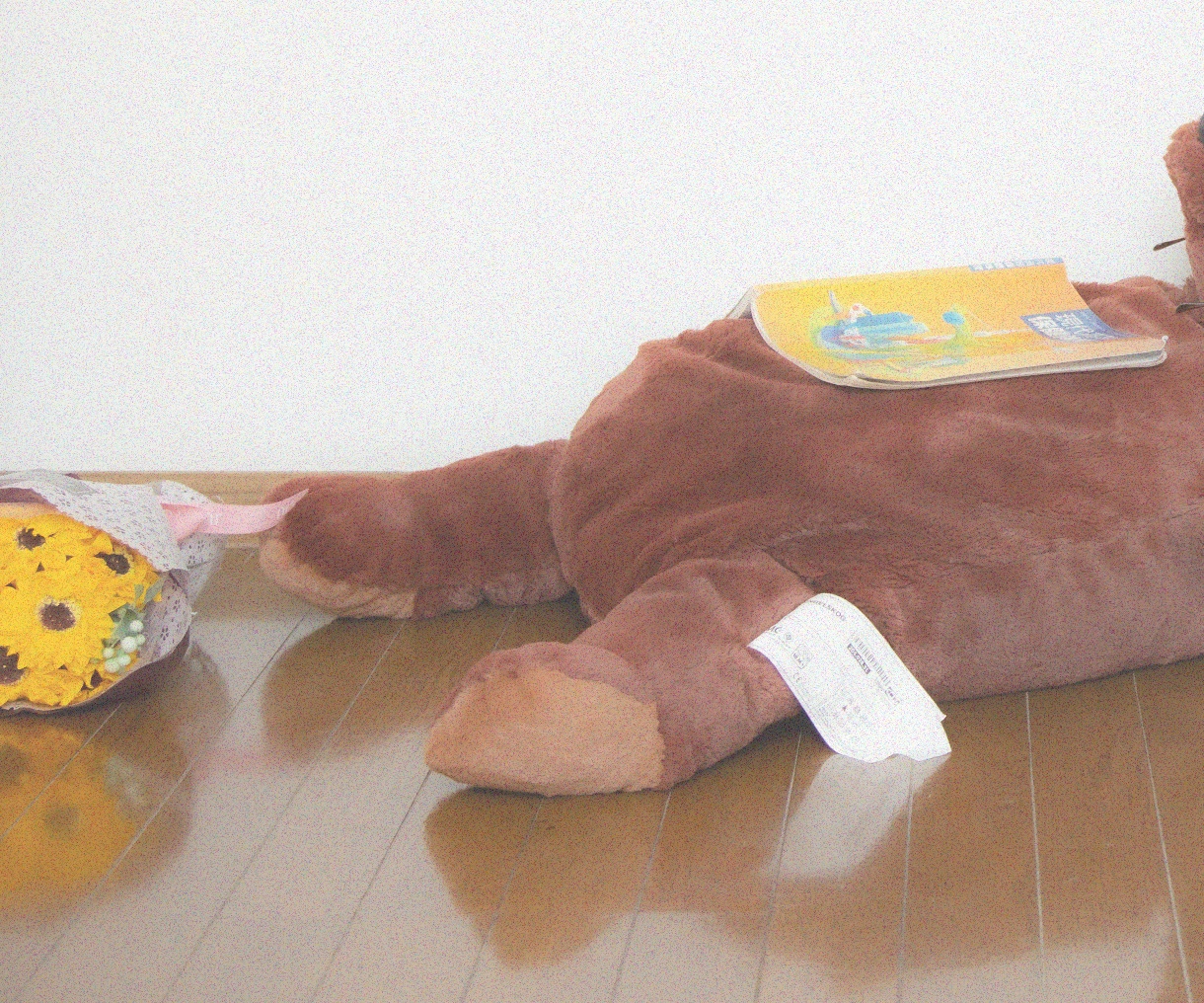 Mなオカメインコが人間の姿であなたを優しく癒します オカメインコが人間の女の子になりました！男性OK イメージ5