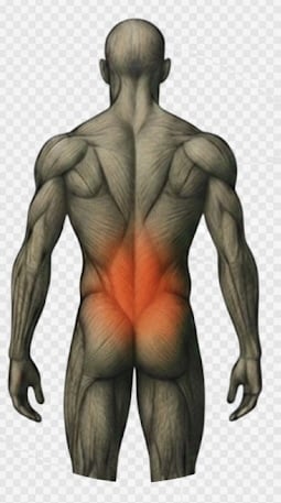 辛い肩こり腰痛を卒業する姿勢改革トレーニングします 原因にフォーカスする場合原因判明！肩こり腰痛、根本改善。 イメージ2