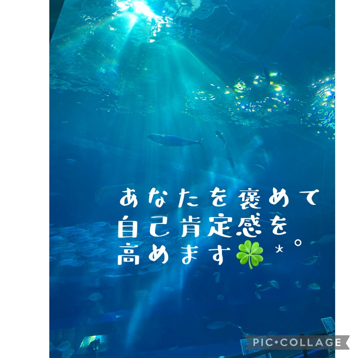 あなたを褒めて、自己肯定感を高めるお手伝いをします ポジティブ心理学実践インストラクターがあなたを褒めます イメージ1