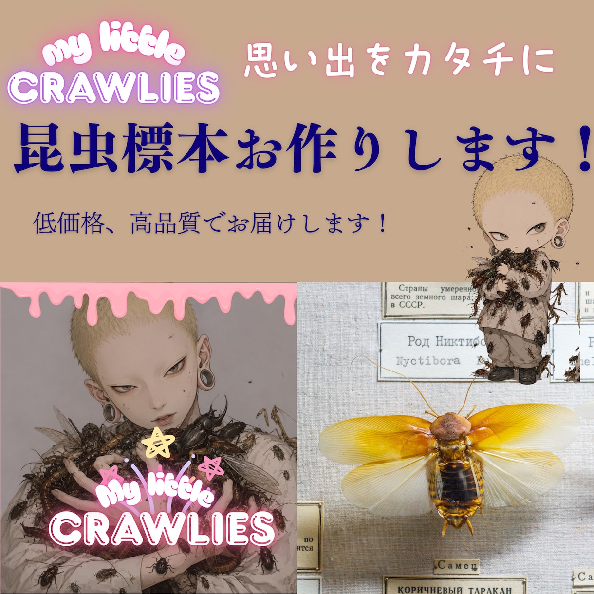 昆虫標本作成します 思い出をカタチに！低価格高品質な標本作成！ イメージ1