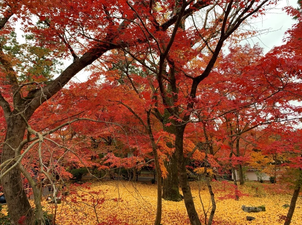 あなたのお悩みを解消して幸せに導きます 京大院卒・鑑定歴22年で2.5万件の異色占い師が鑑定します イメージ1