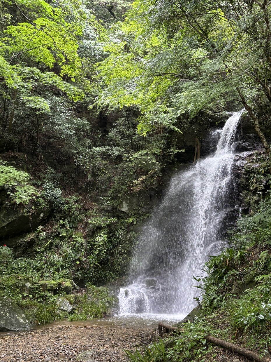 大好きな彼の気持ちを丁寧に読み解きます 見えないからこそ不安になってしまう　隠された本音　2人の未来 イメージ6