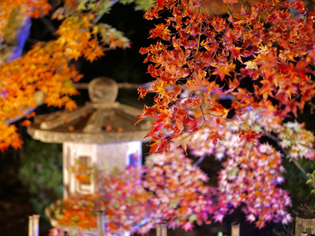 様々な風景の写真を提供致します ニーズにあった写真を提供致します。 イメージ3