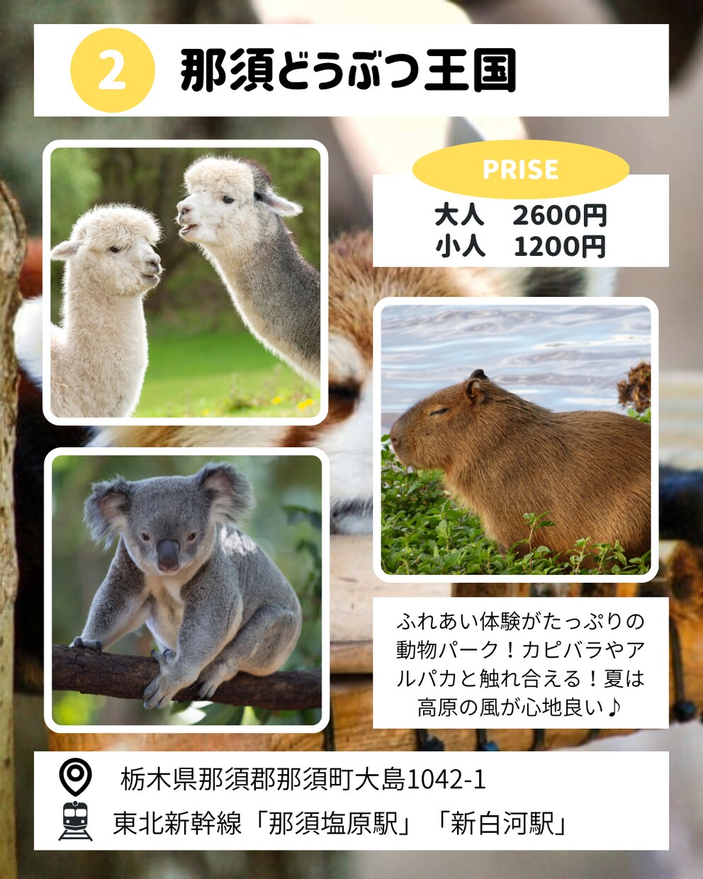Instagram投稿画像作成します ★修正回数無制限★ターゲットにささる画像お任せください！ イメージ7