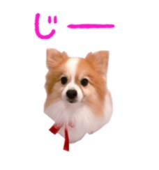 激安！LINEスタンプと絵文字を作成します 【激安】画像・文字スタンプか絵文字8個3000円～！ イメージ3
