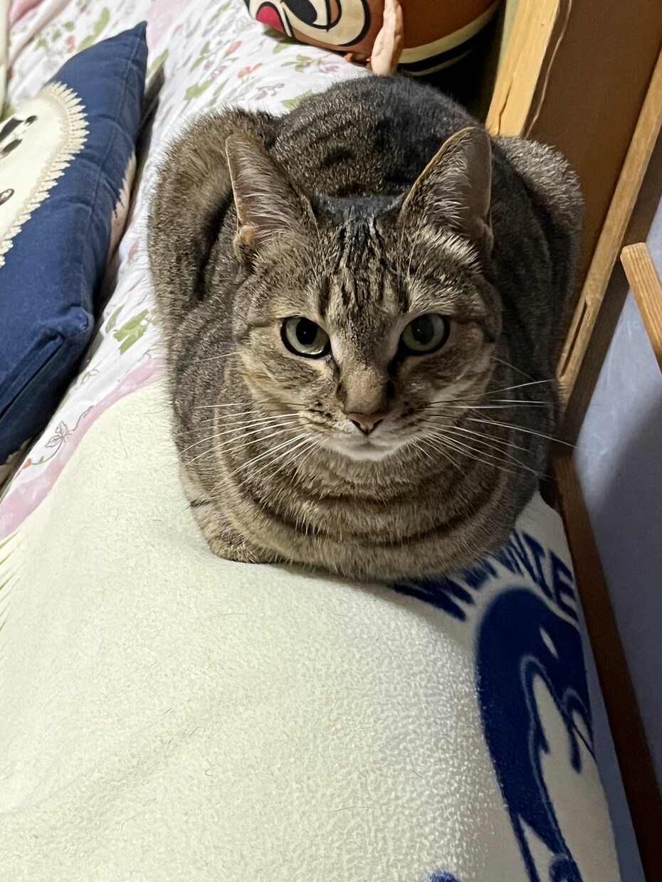 過去に病院に行くほど鬱になっています 今辛いひと、苦しい人、いつでも相談してください。 イメージ3