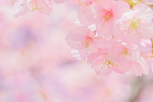 どんな事でもお話相手になります 雑談/相談/愚痴/恋人？♡なーんでも話そ？？ イメージ6