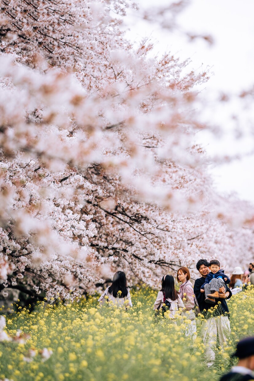 お気に入りの写真、甦らせます お写真のレタッチや余計な写り込みを消します！ イメージ5