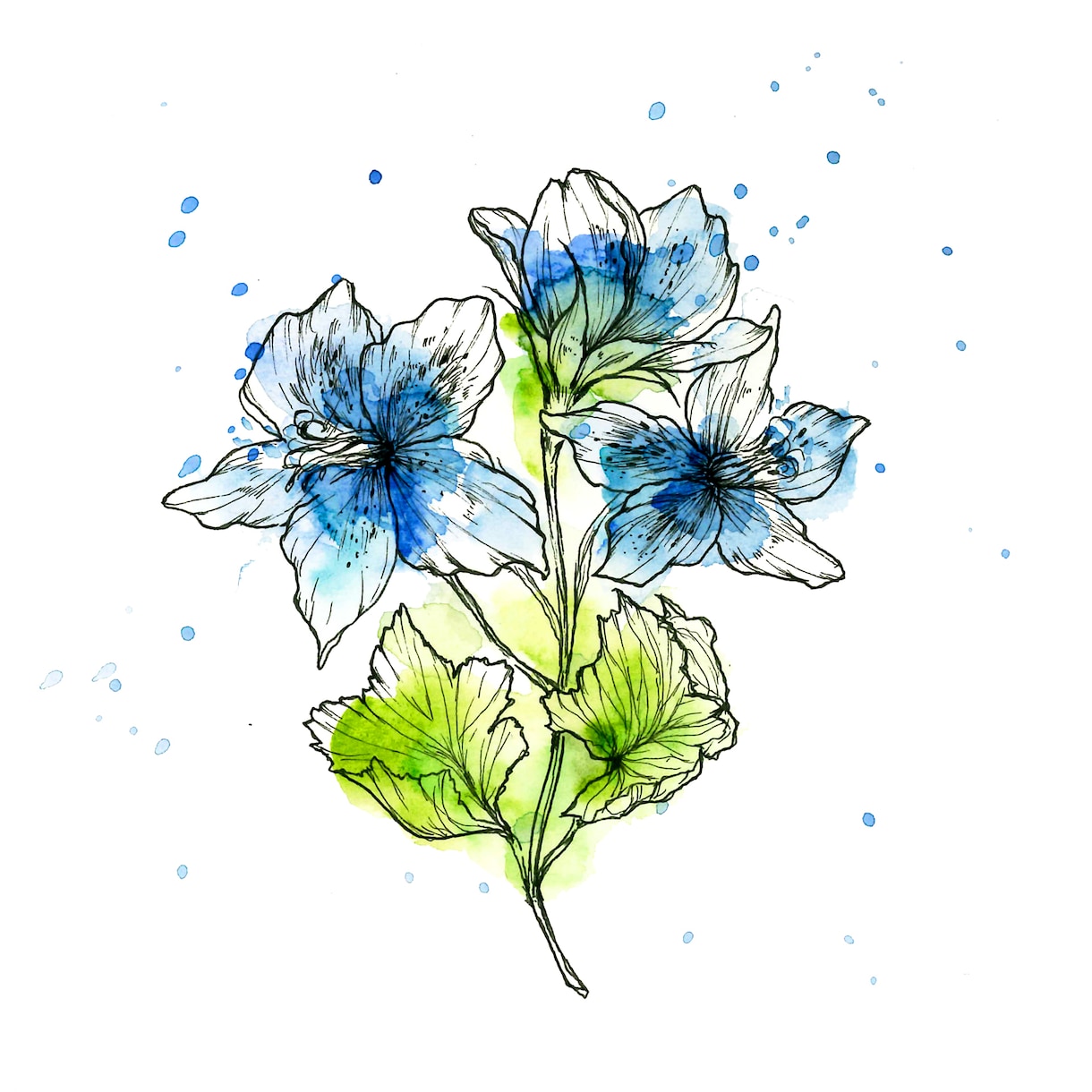 誕生花やお好きなお花の絵を描きます あなたに、大切な誰かに、世界に一枚だけの特別なお花を。 イメージ5