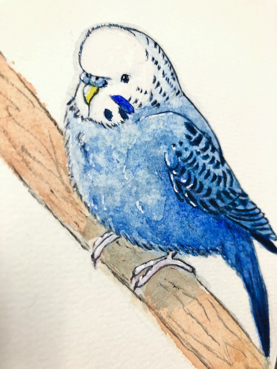 水彩でペットさん動物さんをお描きいたします 世界に１つだけ☆あなたの大好きな子を手描きでお描きします☆ イメージ2