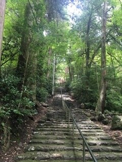 お話し聞きます 癒されませんか？少しでも心が軽くなるようお手伝いします^ ^ イメージ2