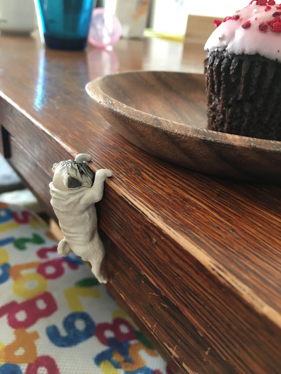 今日なに食べた？あなたの食事を承認します 送る宛のない食事の写メ、溜まっているあなたへ イメージ1