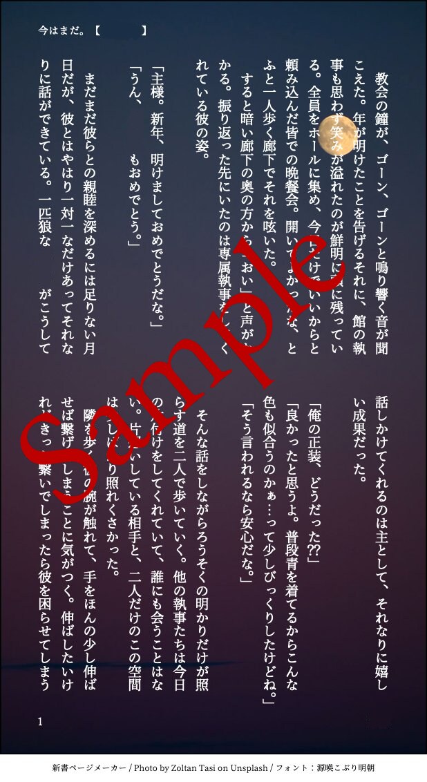 お相手様との大切なひと時を言葉にします 夢小説3L◎一文字0.7円裏、おまけ、お急ぎ便有 イメージ4