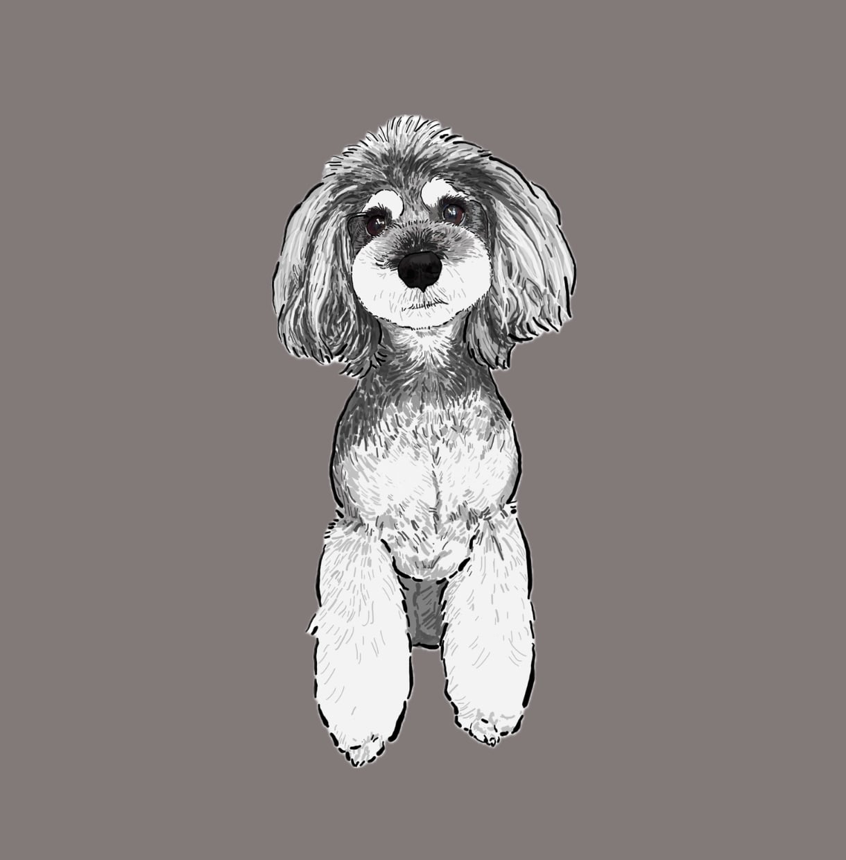 ミニチュアシュナウザーの似顔絵を描きます ミニシュナと暮らす犬絵師が、写真から似顔絵を描きます イメージ2