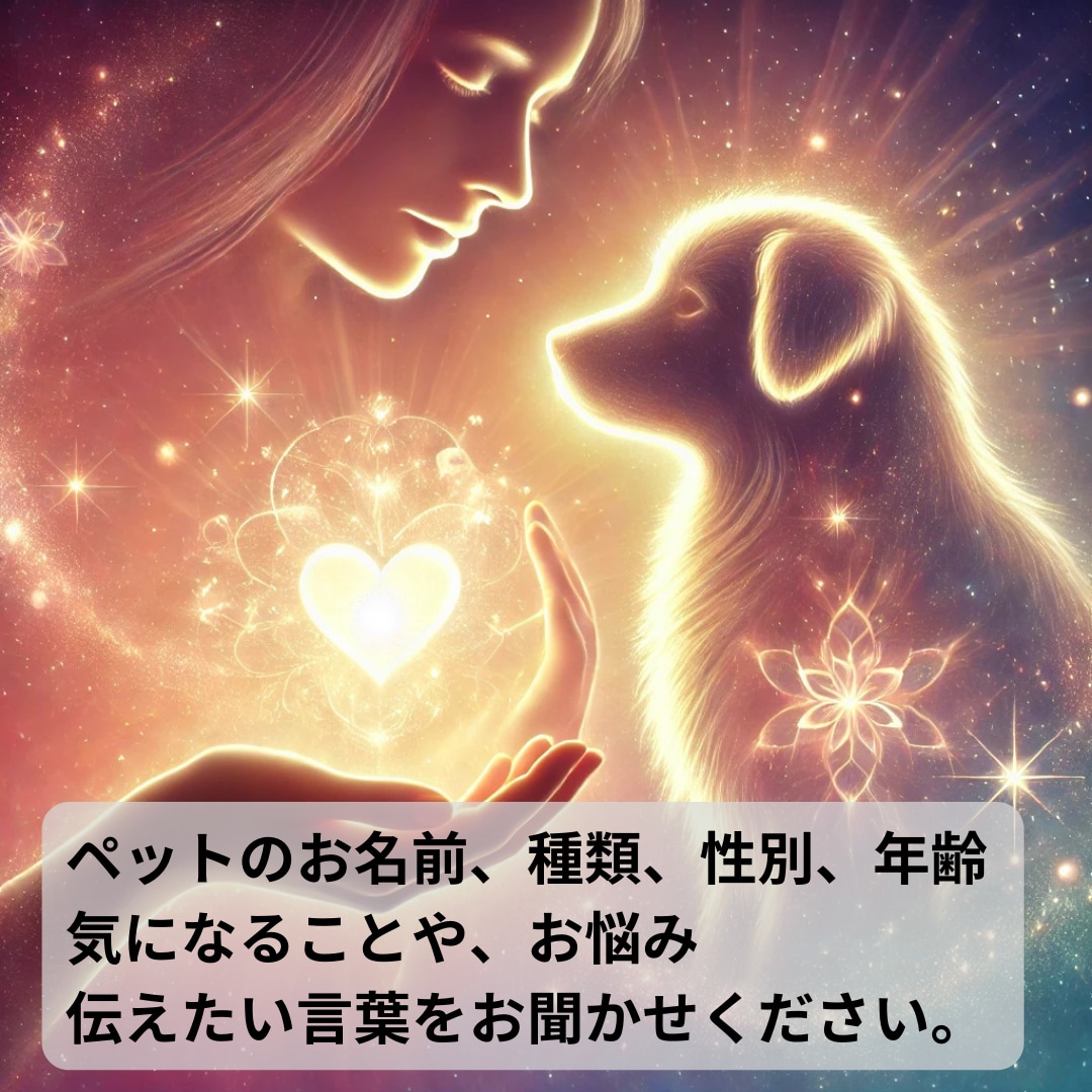霊感霊視と四占術でペットの気持ちを精密に視ます 大切な家族の気質や本音をロジカルに分析し絆を深めます イメージ6